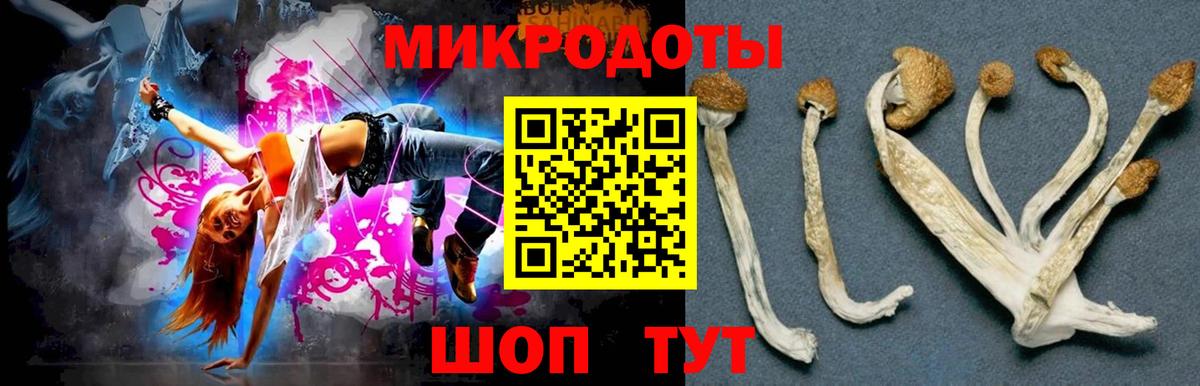 Галлюциногенные грибы Psilocybe  Псилоцибиновые грибы Psilocybe  Вход с VPN  Вышний Волочёк 